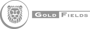 Gold Fields