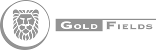 Gold Fields